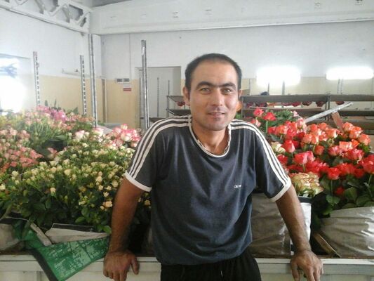  ,   , 41 ,   ,   , c 