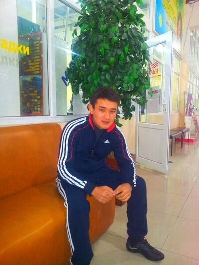  ,   Sultan, 33 ,   ,   , c , 