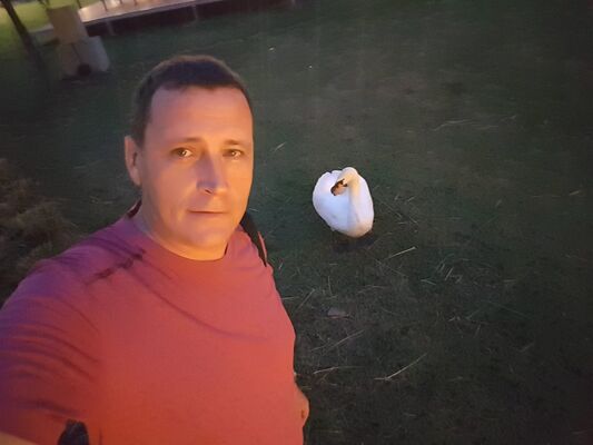  ,   , 58 ,   