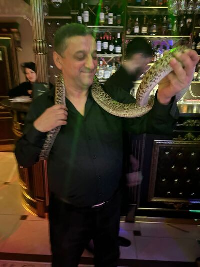  ,   , 44 ,   ,   
