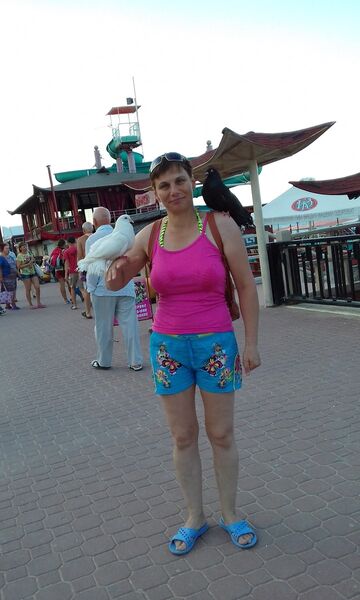  ,   , 54 ,  