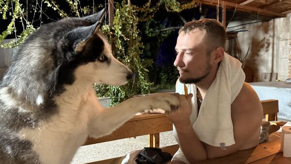  ,   Stivi, 28 ,   ,   