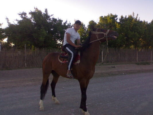  ,   Oljas, 34 ,   