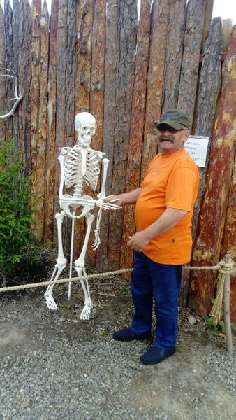  ,   , 68 ,  