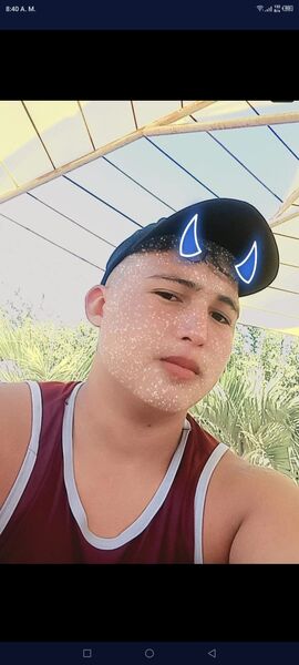  ,   Reiner, 18 ,   ,   