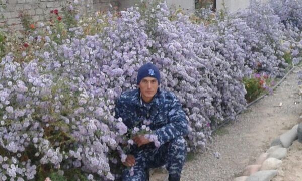  ,   Sunnat, 37 ,   