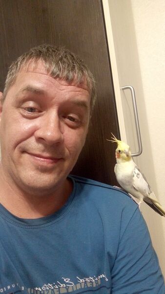  ,   , 44 ,     , c , 