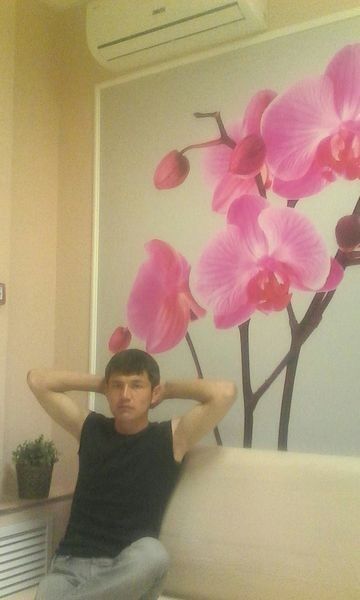  11282346  , 40 ,    -