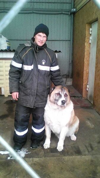  ,   Alexey, 36 ,   ,   