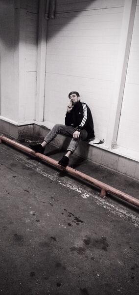  ,   Saxavet, 29 ,   ,   