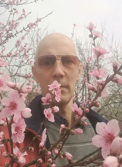  ,   , 52 ,   ,   