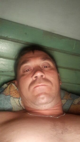  -,   , 38 ,   ,   , c 