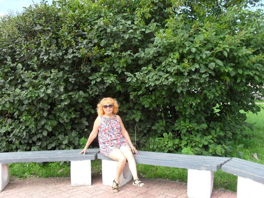  --,   , 65 ,   ,   , c 