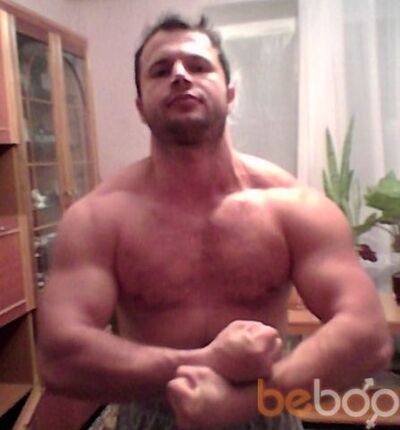  --,   Dimon, 43 ,   ,   , c 