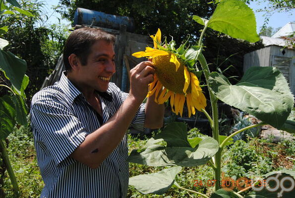  ,   Vagif, 42 ,   ,   , c 