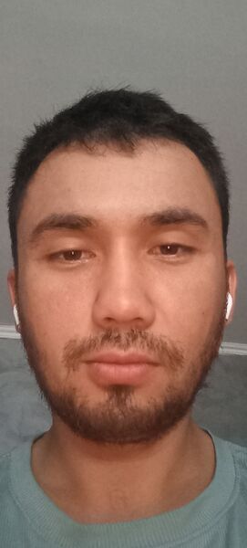  ,   Nematilla, 31 ,   ,   