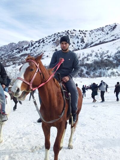  ,   Akmalkxan, 31 ,   ,   , c 