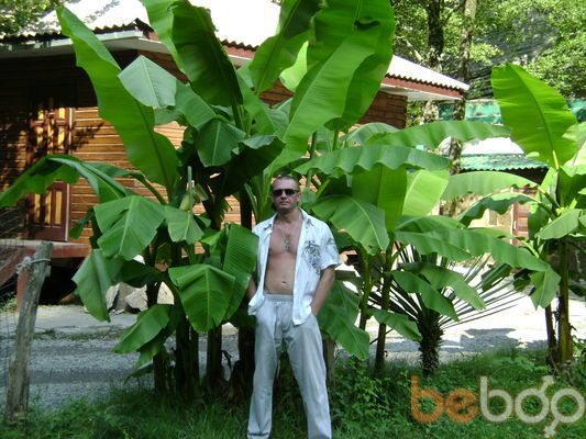  --,   , 48 ,  