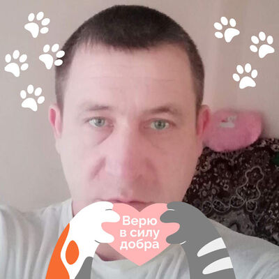  -,   , 42 ,     , c , 