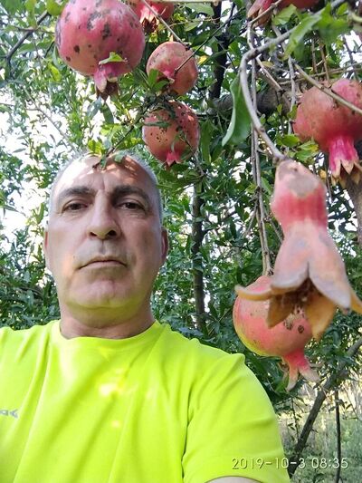  ,   , 61 ,   ,   , c , 