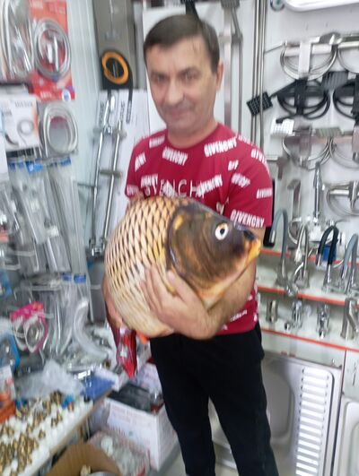  ,   , 49 ,  