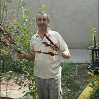   ,   , 62 ,   ,   , c 