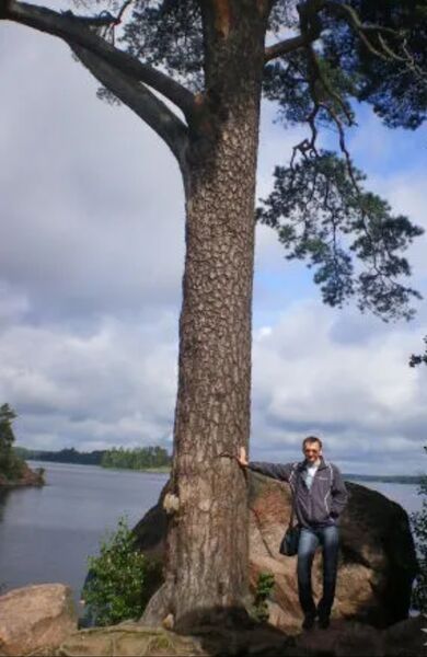 ,   , 45 ,   ,   , c , 