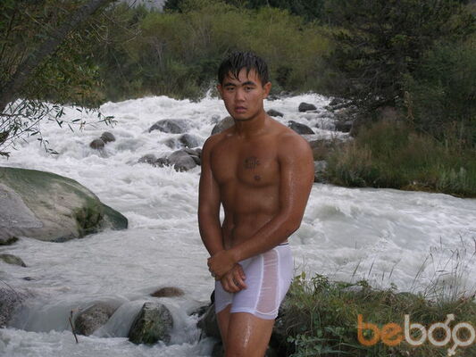  ,   Logan, 37 ,     , c 