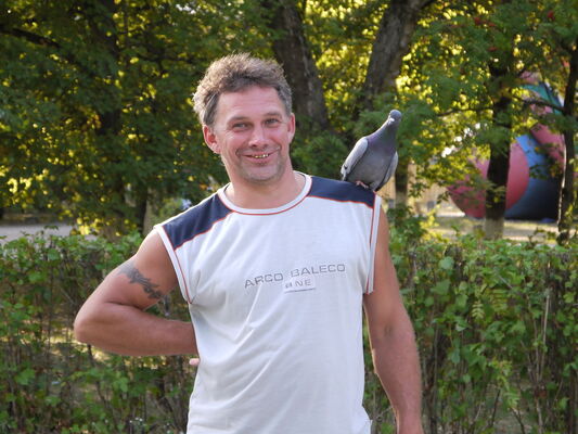  ,   , 55 ,   