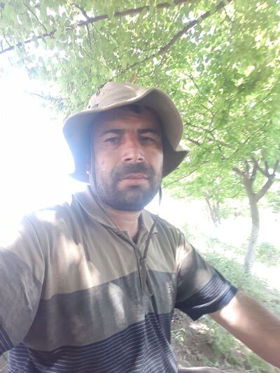  ,   , 43 ,   ,   