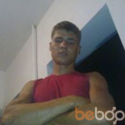  ,   Pit bull, 37 ,   ,   , c , 