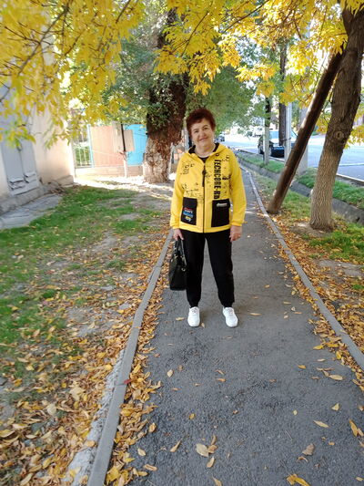  ,   , 68 ,   ,   