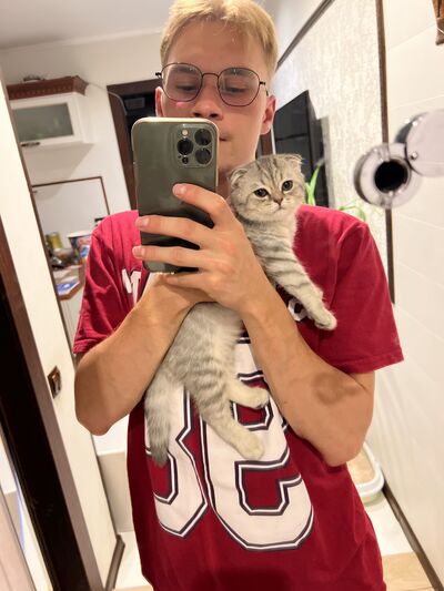  -,   , 28 ,   ,   