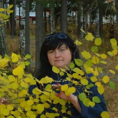  -,   , 49 ,   ,   , c 