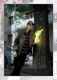 ���������� ������, ���� ������� ������, 33 ����, ������������ ��� ������