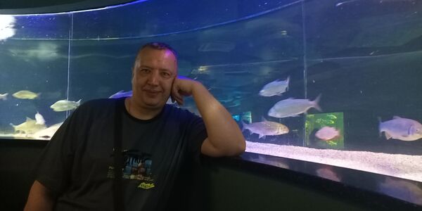  ,   , 43 ,   ,   , c , 