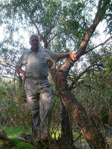  ,   Turist, 88 ,   ,   