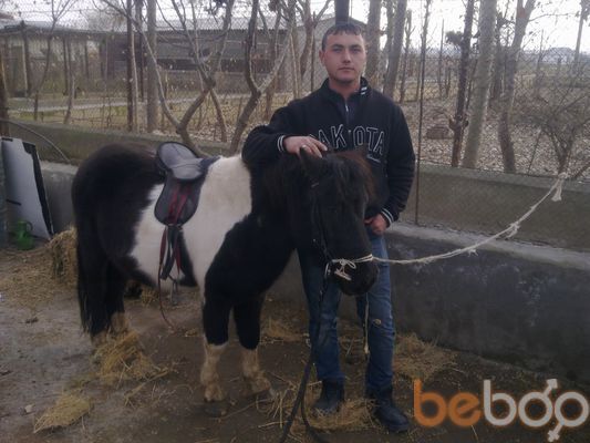  ,   Musa, 38 ,   