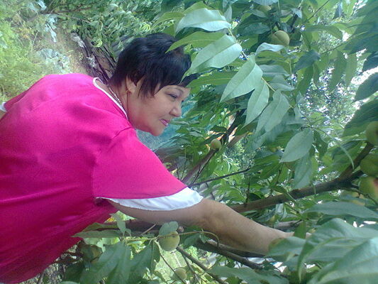  ,   , 70 ,   ,   , c 