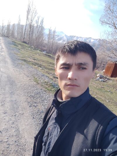  ,   Zakir, 31 ,   ,   