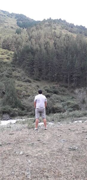  ,   , 38 ,   