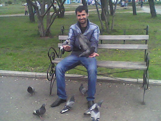  ,   , 54 ,   