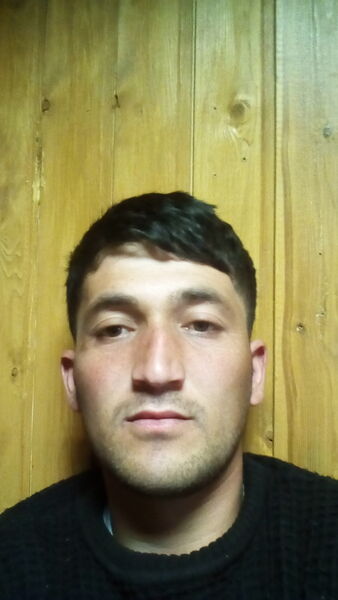  ,   Brat, 34 ,   ,   , c 