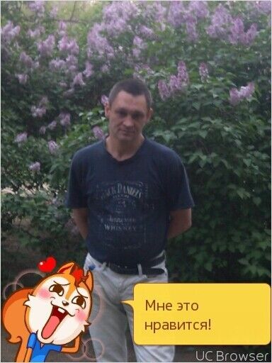  10076376  , 51 ,    