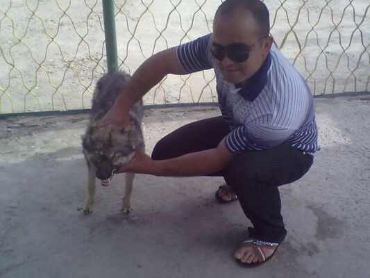  ,   Dima, 34 ,   ,   , c 