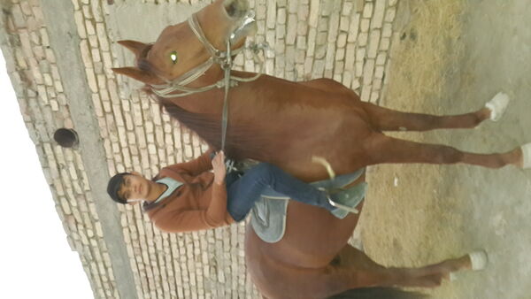  ,   2441100, 32 ,     , c , 