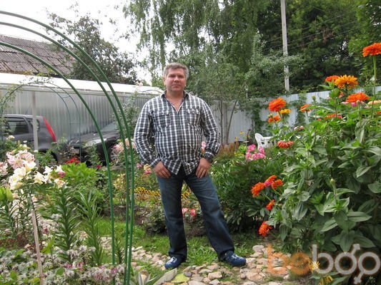  ,   , 54 ,   