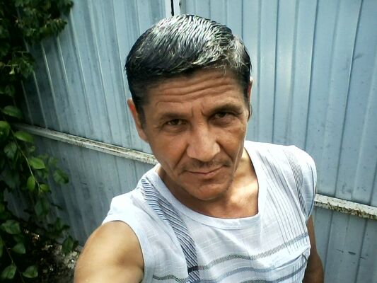  --,   , 48 ,   ,   