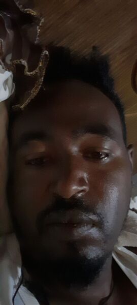  ,   Melese, 34 ,   ,   