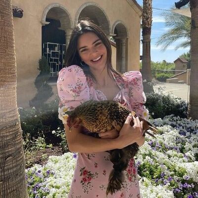  -,   Isula, 24 ,   ,   